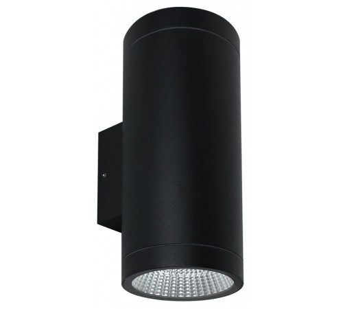 Накладной светильник Arte Lamp TORCULAR A1313AL-2BK