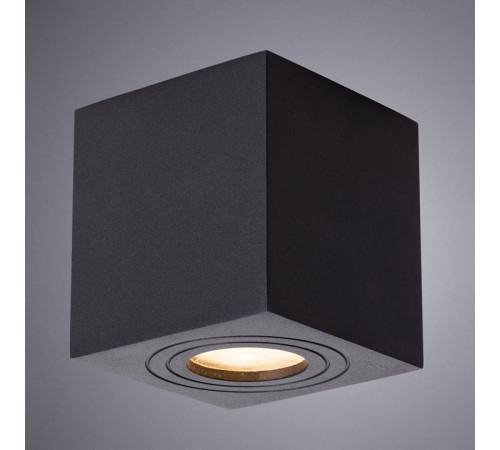 Накладной светильник Arte Lamp Galopin A1461PL-1BK