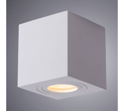 Накладной светильник Arte Lamp Galopin A1461PL-1WH