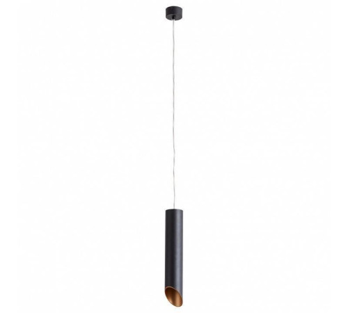 Подвесной светильник Arte Lamp Pilon-Gold A1536SP-1BK