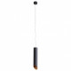 Подвесной светильник Arte Lamp Pilon-Gold A1536SP-1BK