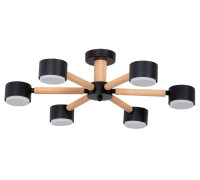 Потолочная люстра Arte Lamp TENDA 6 ламп A1624PL-6BK