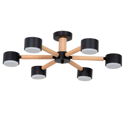 Потолочная люстра Arte Lamp TENDA 6 ламп A1624PL-6BK