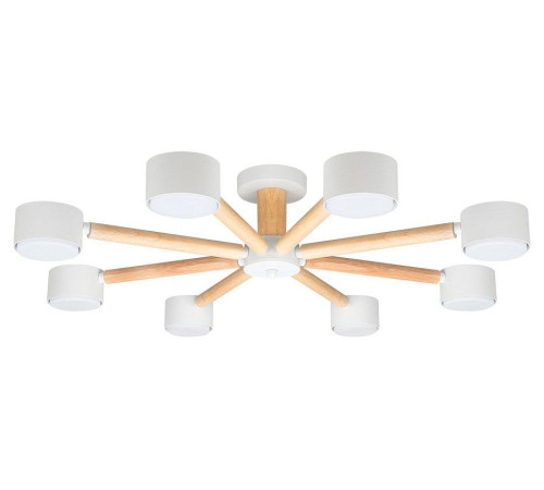 Потолочная люстра Arte Lamp TENDA 8 ламп A1624PL-8WH