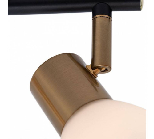 Спот Arte Lamp Falena A3117PL-2BK