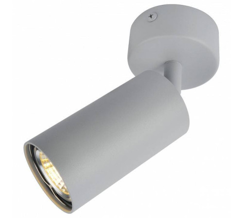 Спот Arte Lamp Aquarius A3216PL-1GY