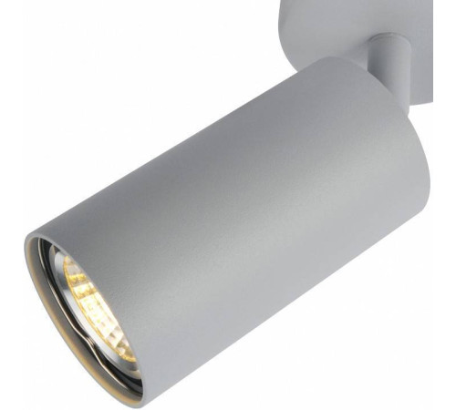 Спот Arte Lamp Aquarius A3216PL-1GY