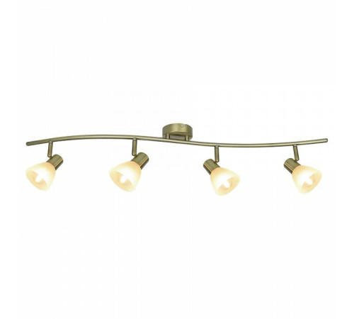 Спот Arte Lamp Parry A5062PL-4AB