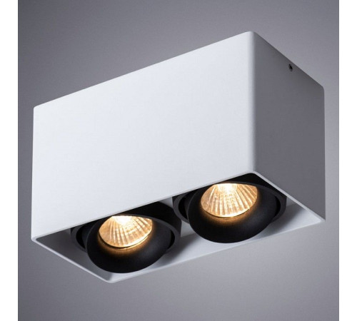 Накладной светильник Arte Lamp Pictor A5654PL-2WH