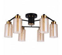 Потолочная люстра Arte Lamp Leo 6 ламп A7027PL-6BK