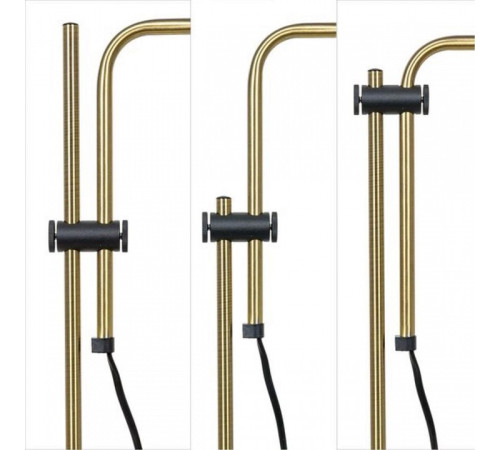 Настольная лампа офисная Arte Lamp Zetta A7055LT-1BK