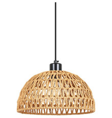 Подвесной светильник Arte Lamp BRUSHWOOD A7086SP-1BK