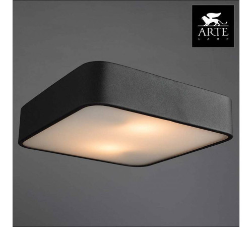 Накладной светильник Arte Lamp Cosmopolitan A7210PL-2BK