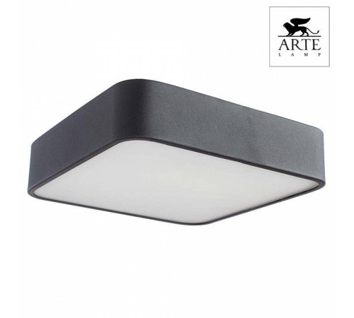 Накладной светильник Arte Lamp Cosmopolitan A7210PL-2BK