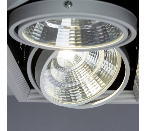 Встраиваемый светильник Arte Lamp Merga A8450PL-3WH