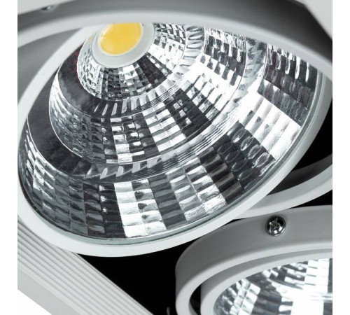 Встраиваемый светильник Arte Lamp Merga A8450PL-3WH