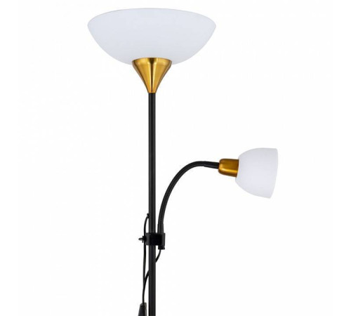 Торшер с подсветкой Arte Lamp Duetto A9569PN-2BK