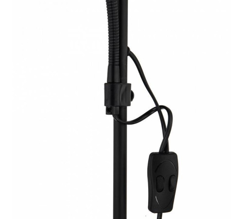 Торшер с подсветкой Arte Lamp Duetto A9569PN-2BK