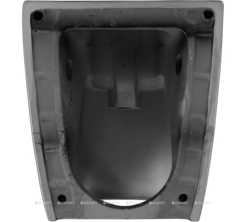 Биде приставное Allen Brau Reality 520x365 мм черный матовый 4.32005.31