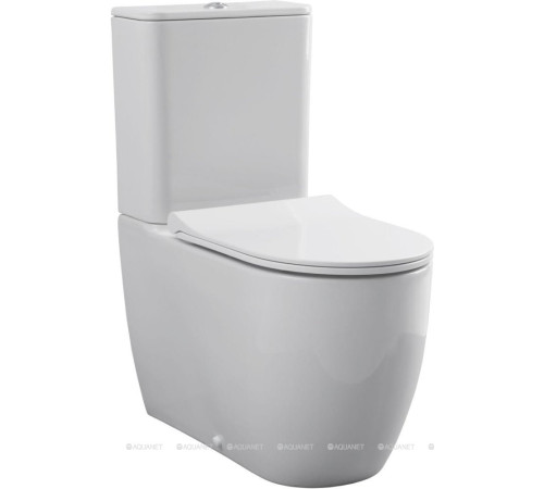 Чаша для унитаза напольного Allen Brau PRIORITY 2 Rimless без сиденья 4.31003.20