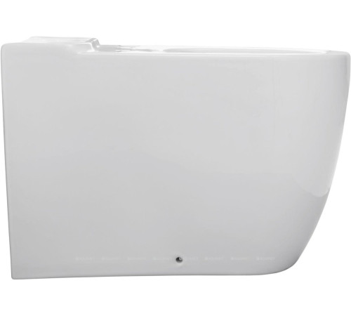 Чаша для унитаза напольного Allen Brau PRIORITY 2 Rimless без сиденья 4.31003.20