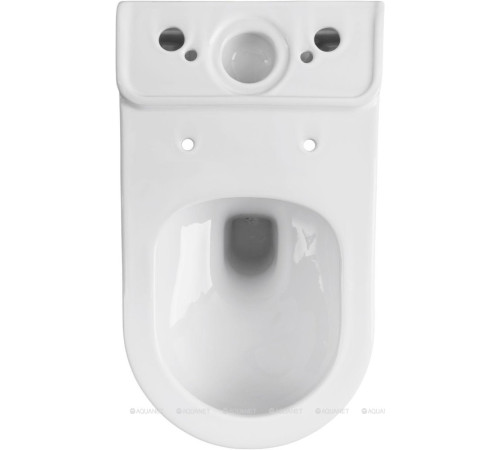 Чаша для унитаза напольного Allen Brau PRIORITY 2 Rimless без сиденья 4.31003.20