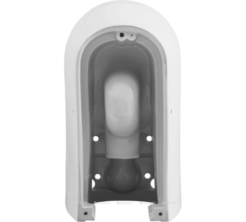 Чаша для унитаза напольного Allen Brau PRIORITY 2 Rimless без сиденья 4.31003.20