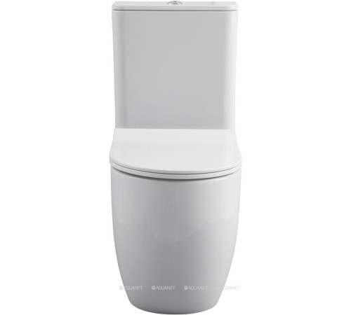 Чаша для унитаза напольного Allen Brau PRIORITY 2 Rimless без сиденья 4.31003.20