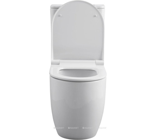 Чаша для унитаза напольного Allen Brau PRIORITY 2 Rimless без сиденья 4.31003.20