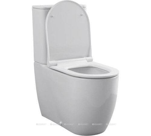 Чаша для унитаза напольного Allen Brau PRIORITY 2 Rimless без сиденья 4.31003.20