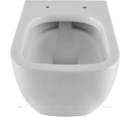 Унитаз подвесной Allen Brau INFINITY 1 Rimless 510x360 мм без сиденья 4.21004.20