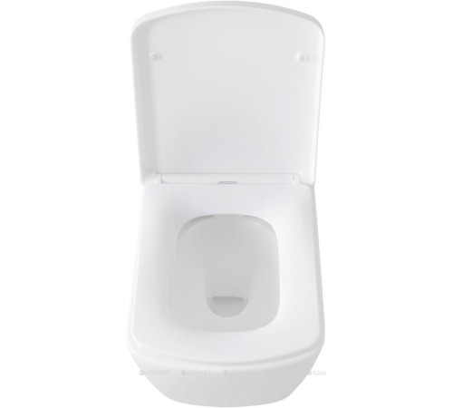 Унитаз подвесной Allen Brau LIBERTY Rimless без сиденья 500x360 мм белый 4.33004.20