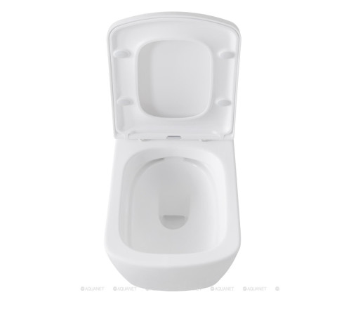 Унитаз подвесной Allen Brau LIBERTY Rimless без сиденья 500x360 мм белый 4.33004.20