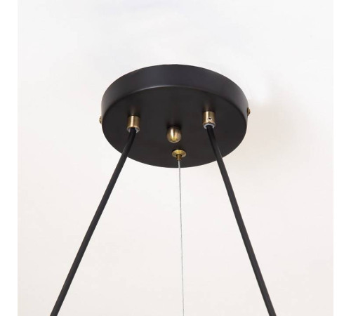 Подвесная люстра Citilux Планета CL105195