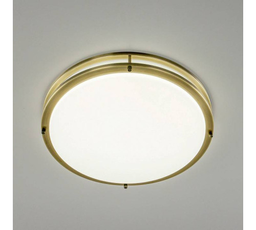 Накладной светильник Citilux Бостон CL709503N