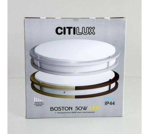 Накладной светильник Citilux Бостон CL709503N