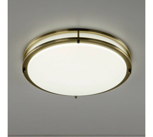 Накладной светильник Citilux Бостон CL709503N