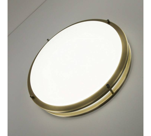 Накладной светильник Citilux Бостон CL709503N