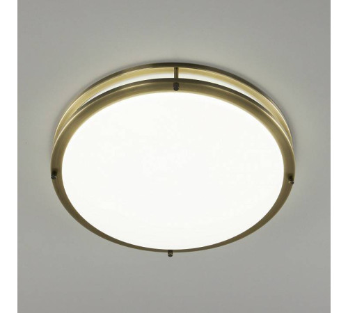 Накладной светильник Citilux Бостон CL709503N