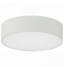 Накладной светильник Citilux Тао CL712120N