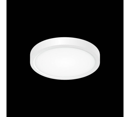 Накладной светильник Citilux Бейсик CL738120N