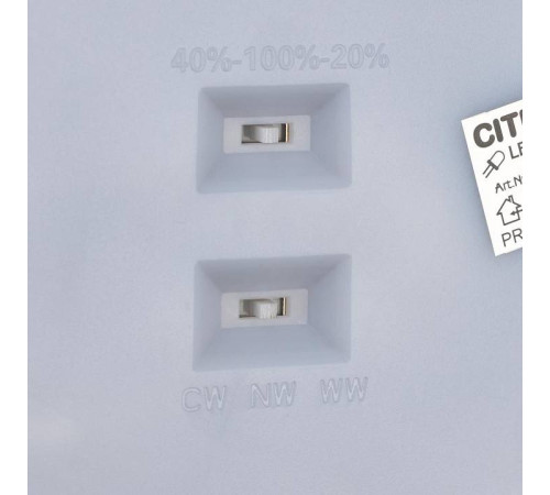 Накладной светильник Citilux Norma CL748601