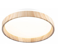 Накладной светильник Citilux ENZO CL753352G