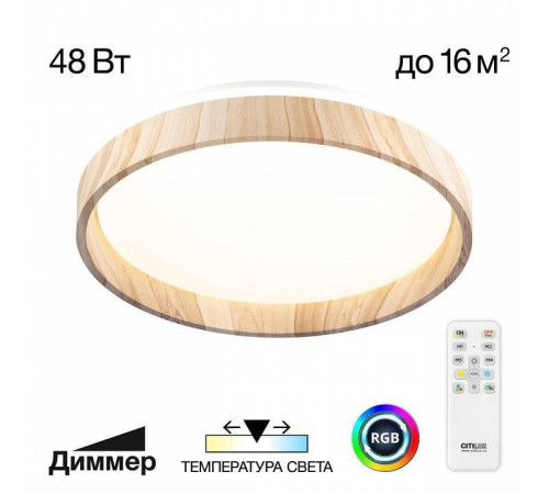 Накладной светильник Citilux ENZO CL753352G