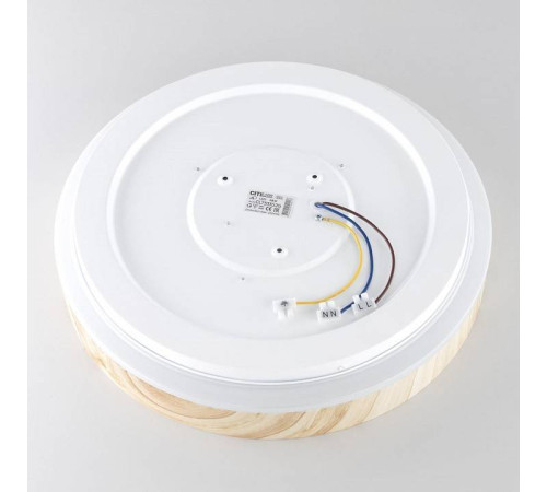 Накладной светильник Citilux ENZO CL753352G