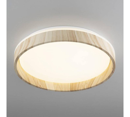 Накладной светильник Citilux ENZO CL753352G