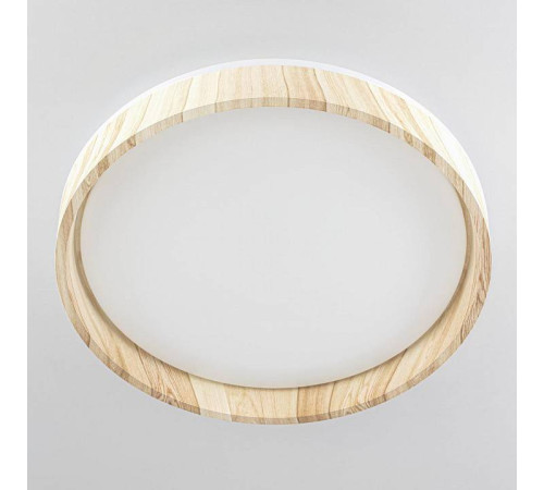 Накладной светильник Citilux ENZO CL753352G