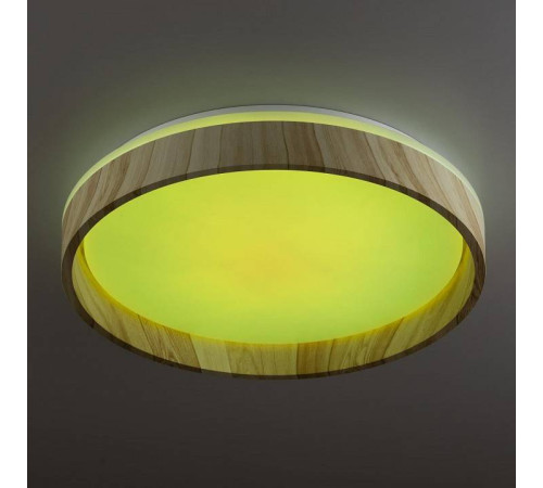 Накладной светильник Citilux ENZO CL753352G