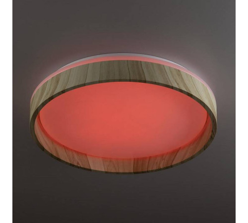 Накладной светильник Citilux ENZO CL753352G