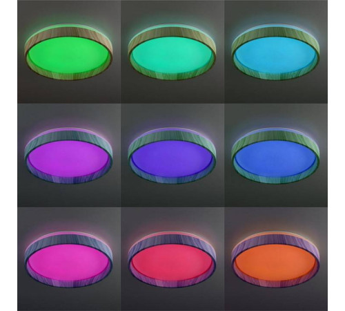 Накладной светильник Citilux ENZO CL753352G